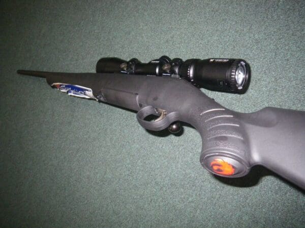 Ruger AMERICAN 308 VORTEX Scope Black