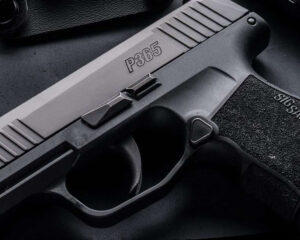 Sig Sauer P365 vs Taurus G2C: Which is the Superior Concealed Carry Weapon?